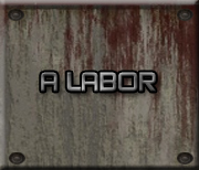 A labor - 2009/02